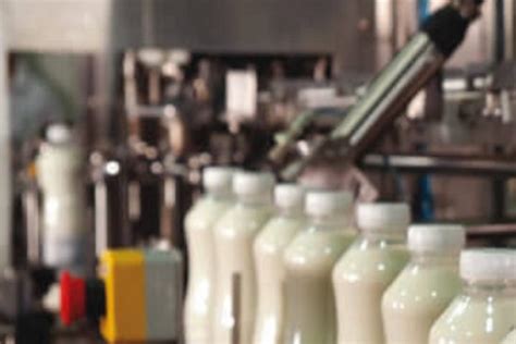 Parag Milk Foods to raise Rs 316 crore for expansion