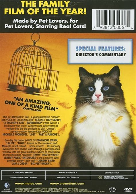 Cats: The Movie! (DVD 2006) | DVD Empire