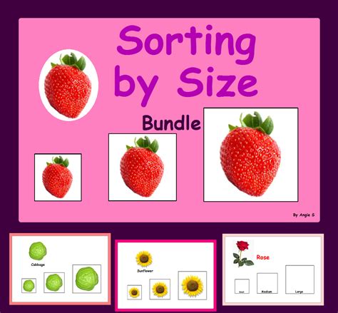 Sorting by Size | Special education autism, Special education resources ...