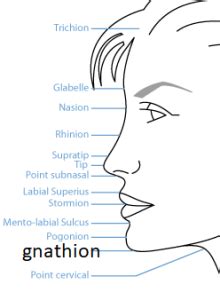 Gnathion — Conseil Dentaire Dr.Hauteville