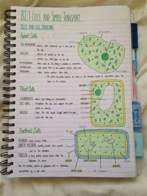 Enzymes biology notes | Tumblr | Biology notes, Biochemistry notes, Cell biology notes