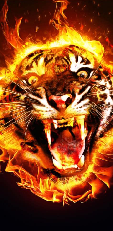 Fire Tiger wallpaper by Mustafa_Savul - Download on ZEDGE™ | b183 ...