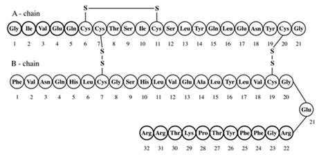 Insulin glargine - wikidoc