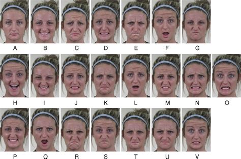 Facial Expressions Chart Psychology