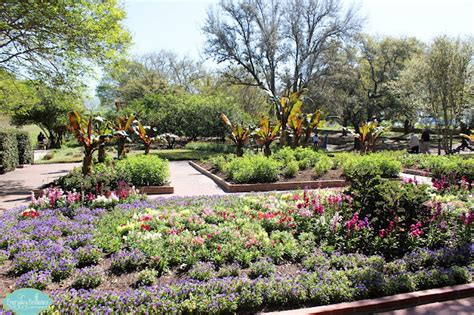 Everyday Brilliance Photography: San Antonio Botanical Garden