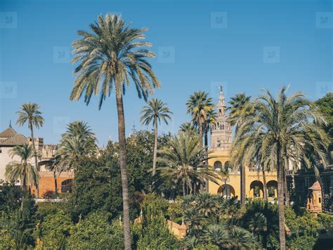 View of the Royal Gardens of the Alcazar of Seville stock photo (135639) - YouWorkForThem