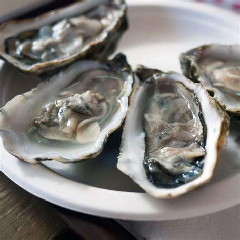 Oyster Market Prices & Forecasts | Wigmore Trading