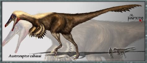 Austroraptor Pictures & Facts - The Dinosaur Database