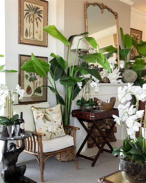 Tropical Oasis Home Decor