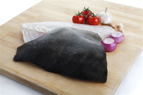 Giant Tiger Grouper Fillet (sold by kg) — HORECA Suppliers | Supplybunny