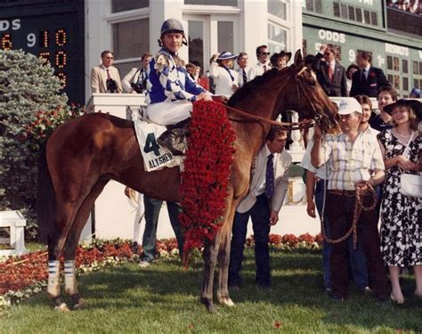 Affirmed Shown Winning The Kentucky Derby With Jockey Steve Cauthen. Affirmed was the 11th and ...