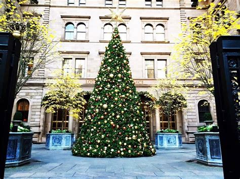 Lotte New York Palace Gets Into the Spirit of the Season | Midtown Manhattan Hotels | Luxury NYC ...