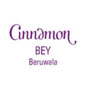 Cinnsmon Bey Beruwala - Wedding Detail