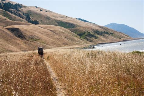 How to Hike The Lost Coast Trail