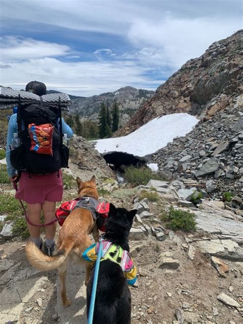 Dog Hiking Gear List