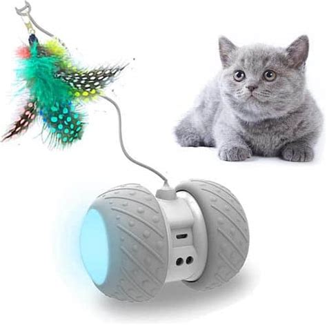 The 21 Best Cat Toys for All Kinds of Cats and All Kinds of Play