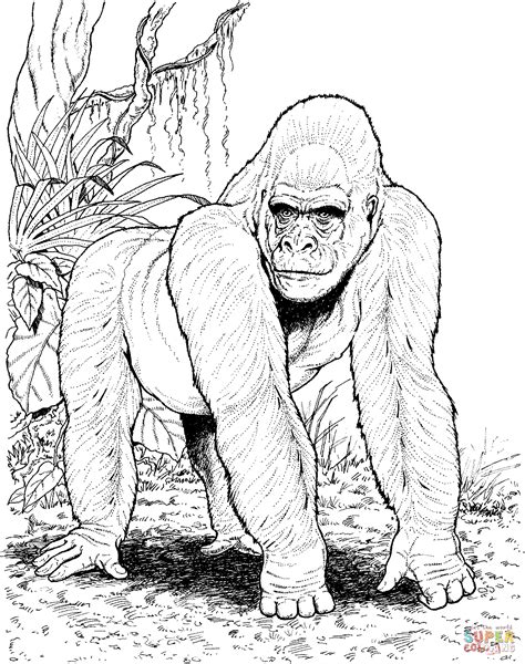 Gorilla In Jungle coloring page | Free Printable Coloring Pages