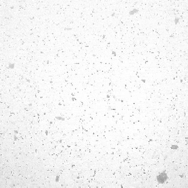 White Christmas Snow GIF - Find & Share on GIPHY