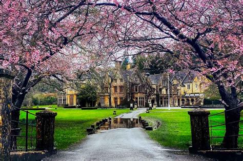 Castle Combe, A Visit To The Pretty Wiltshire Village | BaldHiker