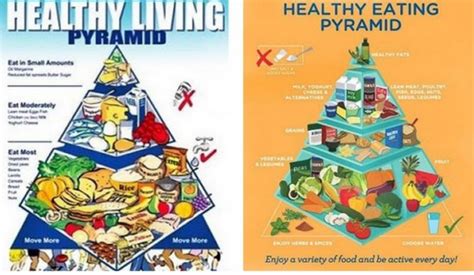 For the first time in 15 years Australia has a new food pyramid | OverSixty