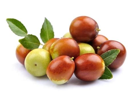 11 Amazing Health Benefits of Jujube - Natural Food Series