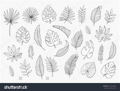 1,226,780 Tree Leaf Graphic Images, Stock Photos, 3D objects, & Vectors ...