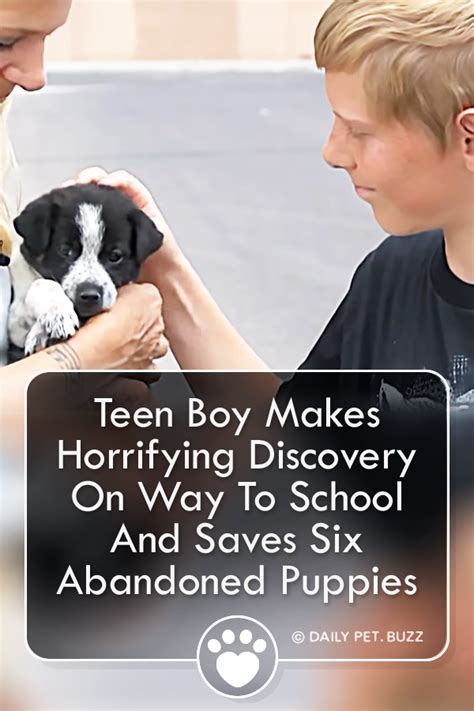 Teen Boy Makes Horrifying Discovery On Way To School And Saves Six Abandoned Puppies | Puppies ...