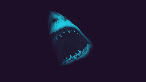 Great white shark HD wallpaper | Wallpaper Flare