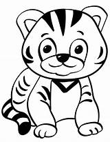 Baby Tiger coloring Page  Download Print Or Color Online For Free sketch template