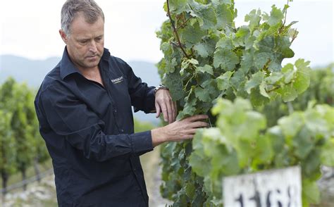 New Zealand winery helps drive lower alcohol wine category