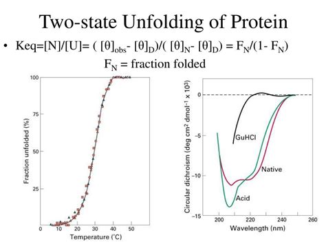 PPT - Protein Stability Protein Folding Chapter 6 PowerPoint Presentation - ID:247839