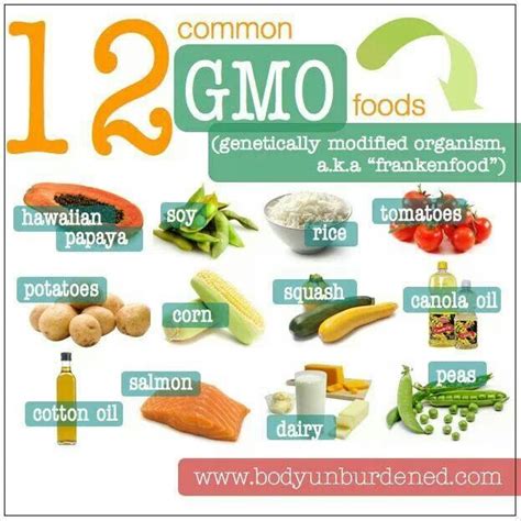 Top GMO Foods | Benefits of organic food, Genetically modified food ...