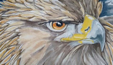 Golden eagle painting original watercolour wildlife bird art | Etsy | Eagle painting, Bird art ...