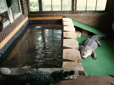 Indoor gators | Zoo photos, Pet enclosure, Livestock shelter