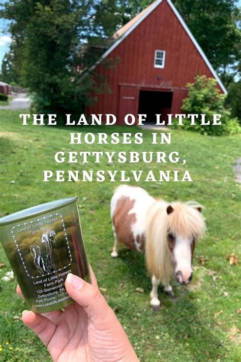 The Land of Little Horses in Gettysburg, Pennsylvania