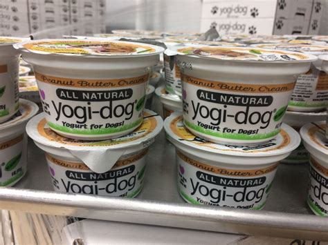 Is Plain Yogurt Ok For Dogs