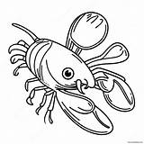 Crawfish Coloring Page 55173 43653 sketch template