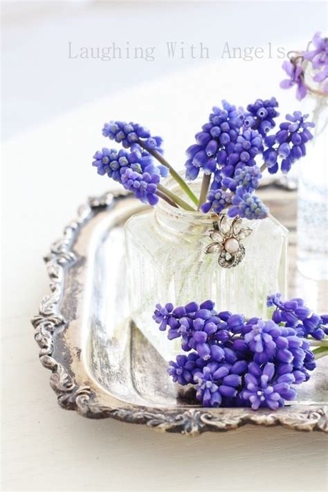 Pin on muscari love