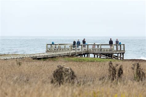 Wildlife Viewing Area with Tourists Editorial Stock Photo - Image of ...