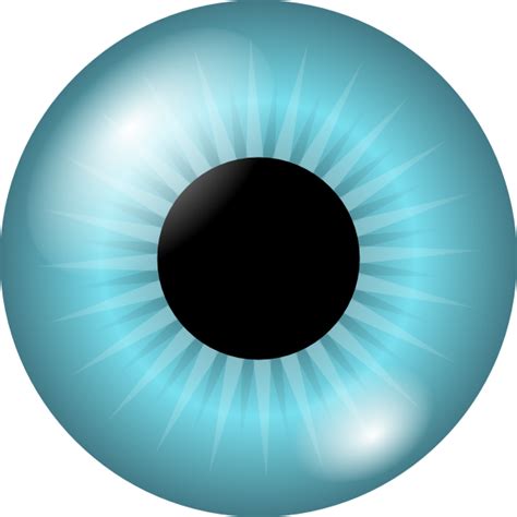 Iris And Pupil Clip Art at Clker.com - vector clip art online, royalty ...