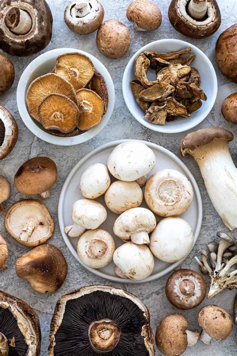 14 Types of Mushrooms - Jessica Gavin