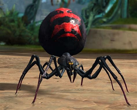 Juvenile Black Widow Spider - Guild Wars 2 Wiki (GW2W)