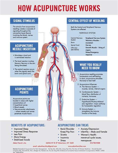 Scientific Study Proves How Acupuncture Works - G&L Acupuncture and Wellness Center