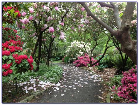 Crystal Springs Rhododendron Garden Portland Oregon - Garden : Home Design Ideas #a8D78ppQOg50245