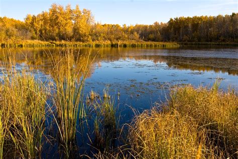 Opinion: No one can put a price on nature, but we ignore its value at our peril - Canadian Cattlemen