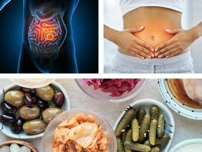 Digestive Enzymes: Gut Health & Inflammation – CSNN National Page