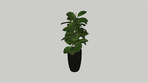 POTS PLANT (33).skp | 3D Warehouse