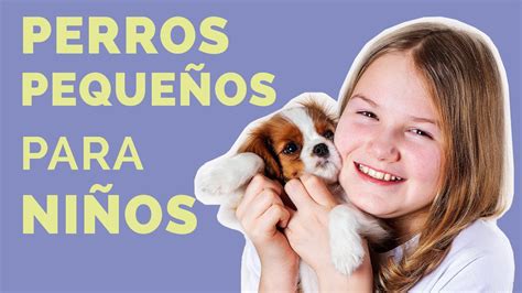 Razas De Perros Pequenos Para Ninos