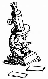Microscope Clipart Clip Line Microscopes Cartoon Coloring Outline  sketch template