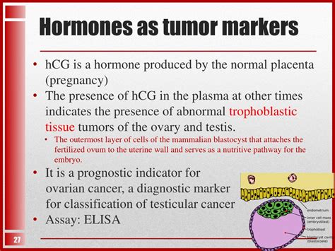 PPT - Tumor Markers PowerPoint Presentation, free download - ID:9332346